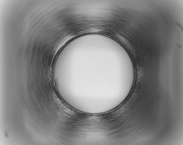 X0000101681178200807311512