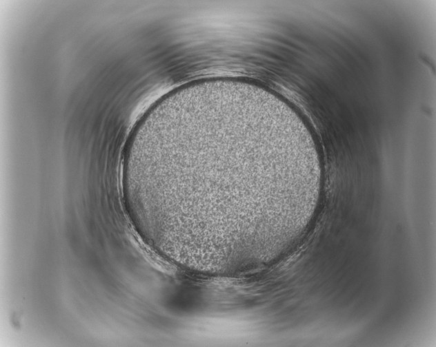 X0000101681179200807311512