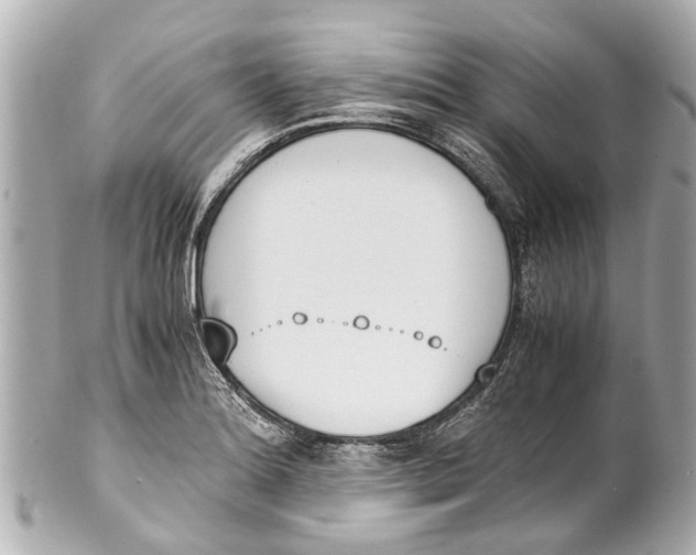 X0000101681180200807311512