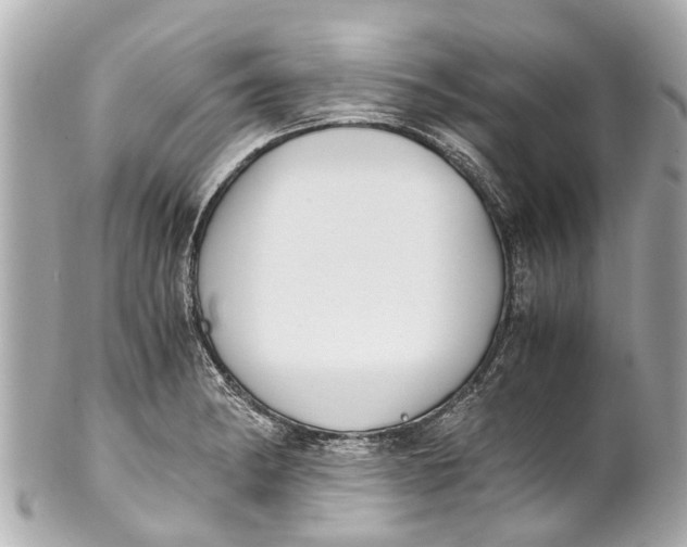 X0000101681182200807311512