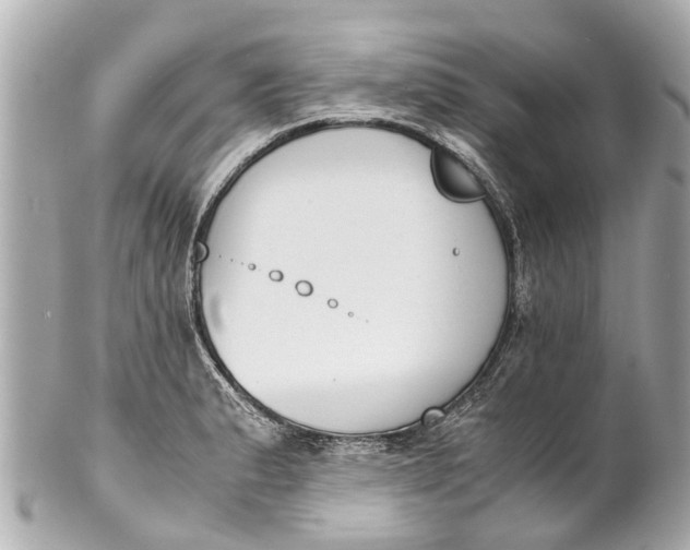 X0000101681183200807311512