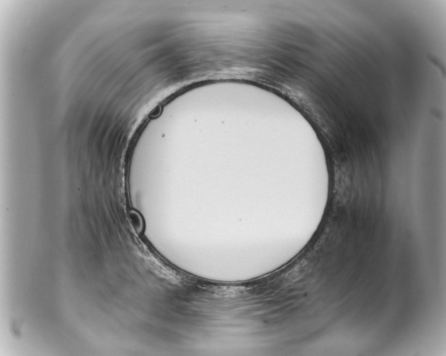 X0000101681184200807311512