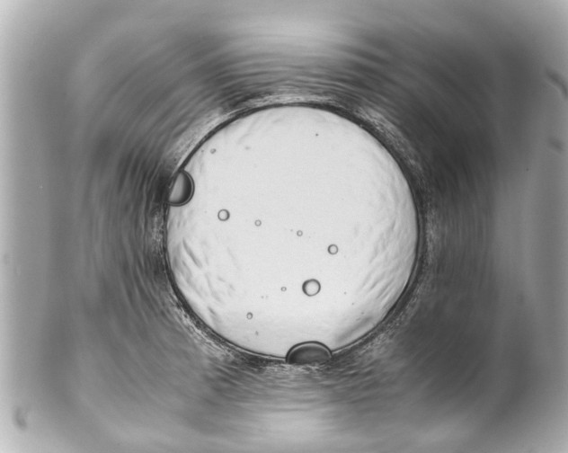 X0000101681185200807311512