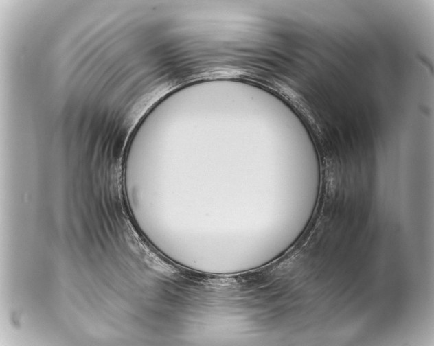 X0000101681186200807311512