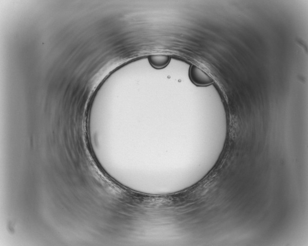 X0000101681187200807311512