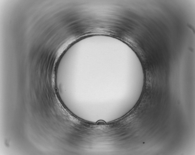 X0000101681188200807311512