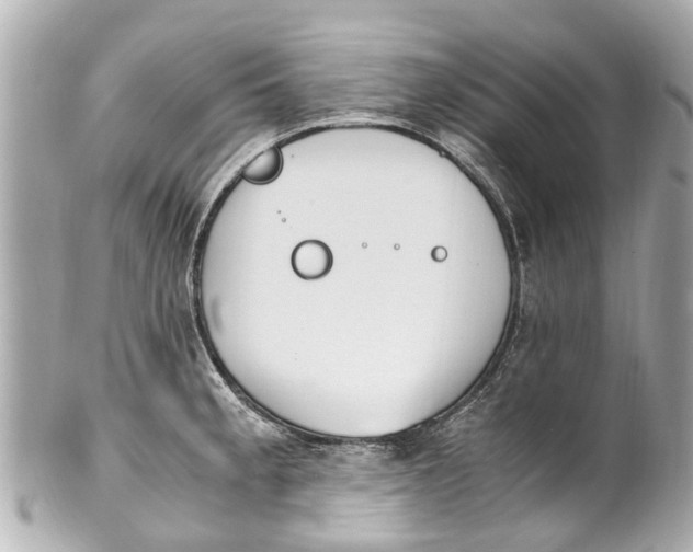 X0000101681189200807311512