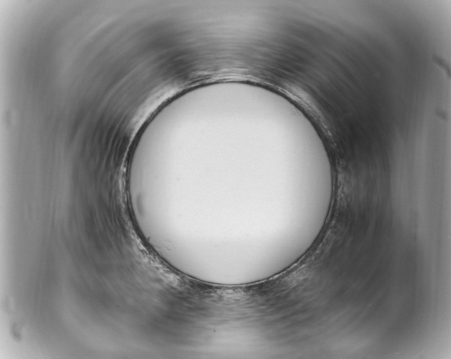 X0000101681190200807311512