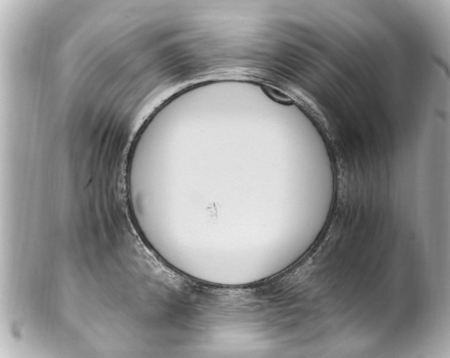 X0000101681192200807311512