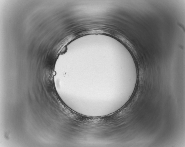 X0000101681193200807311512