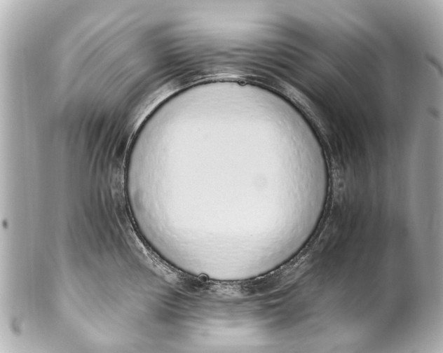 X0000101681194200807311512