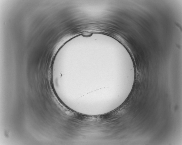 X0000101681195200807311512