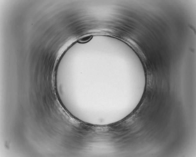 X0000101681196200807311512