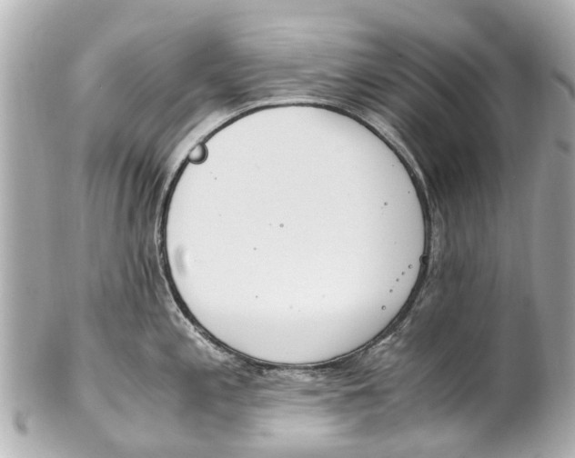 X0000101681197200807311512