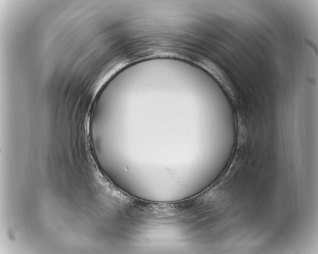 X0000101681198200807311512