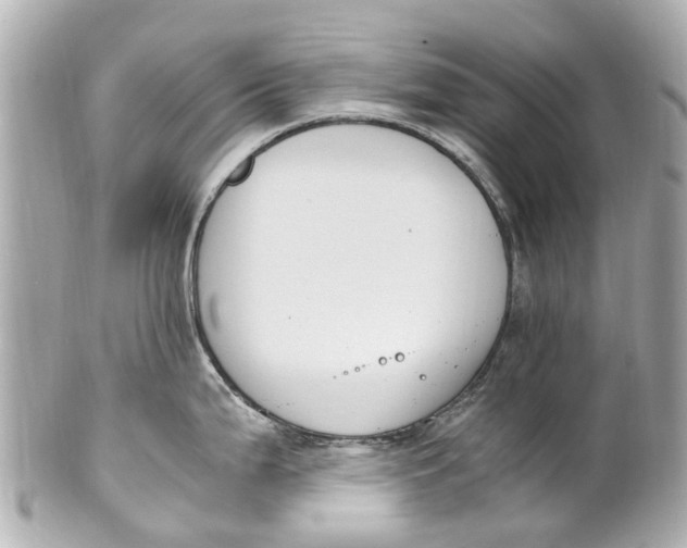 X0000101681199200807311512