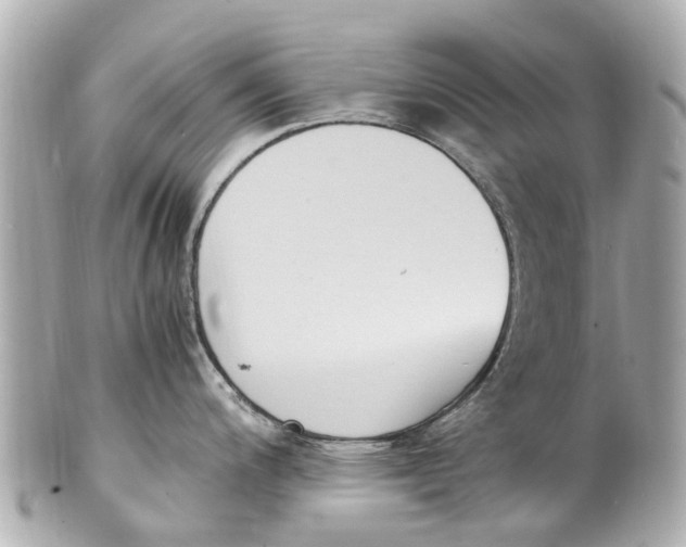 X0000101681200200807311512