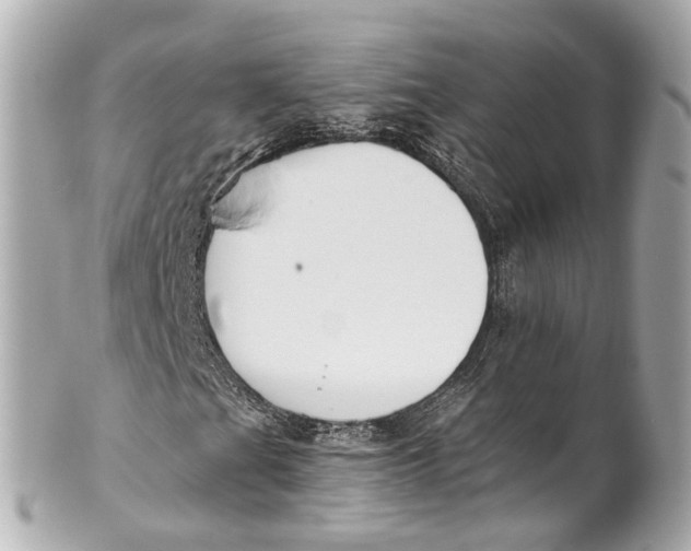 X0000101681201200807311511