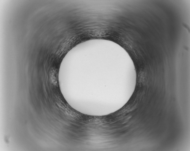 X0000101681202200807311511