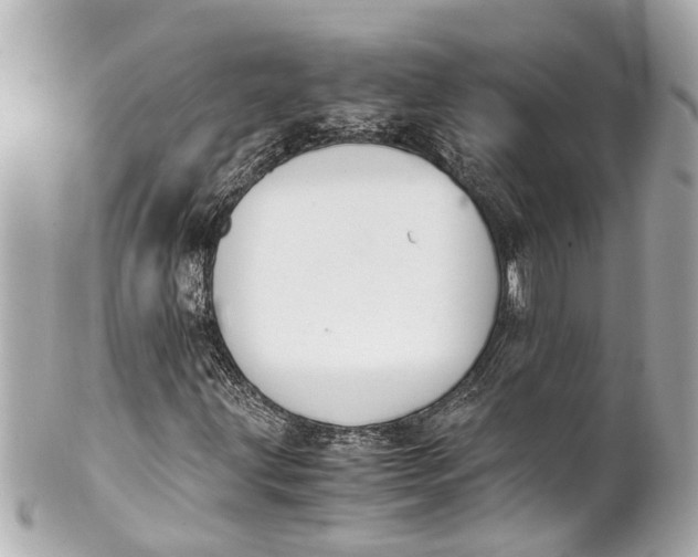 X0000101681203200807311511