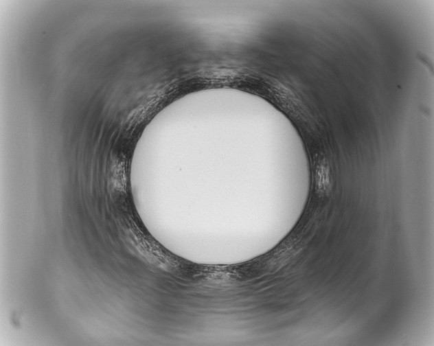 X0000101681204200807311511