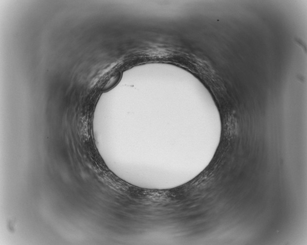 X0000101681205200807311511