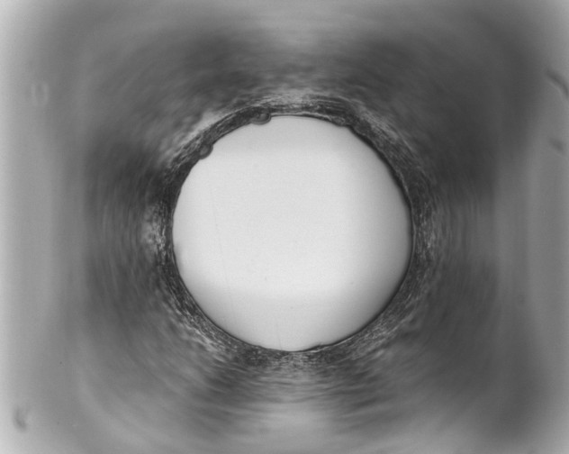 X0000101681206200807311511