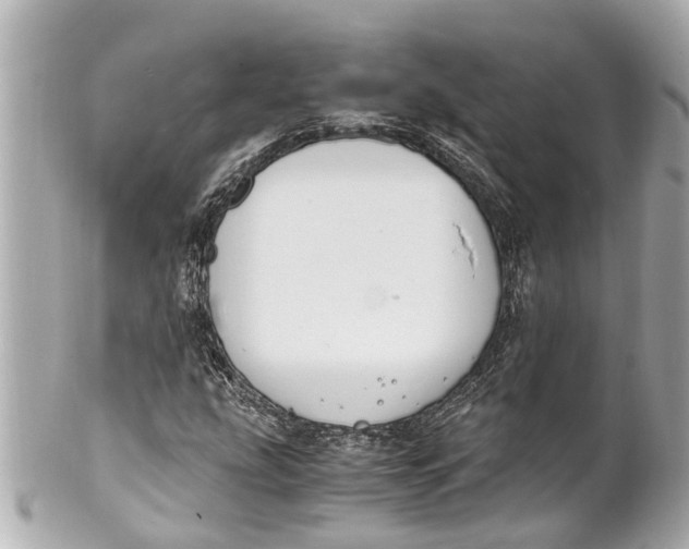 X0000101681207200807311511