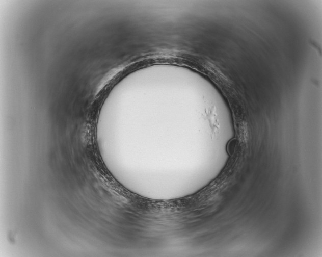 X0000101681208200807311511