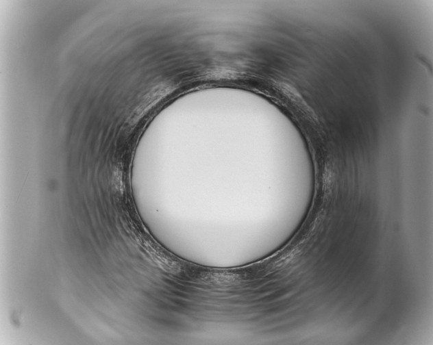 X0000101681209200807311511