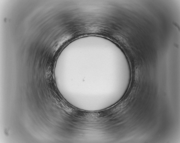 X0000101681210200807311511