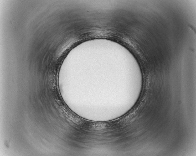 X0000101681211200807311511