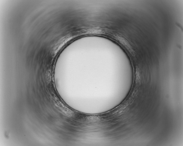 X0000101681212200807311511