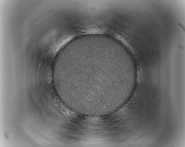 X0000101681213200807311512