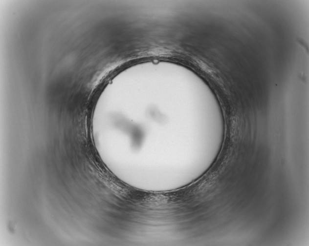 X0000101681214200807311512