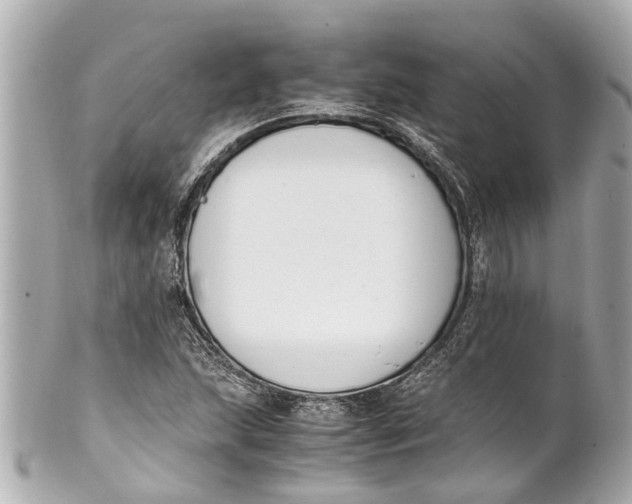 X0000101681215200807311512