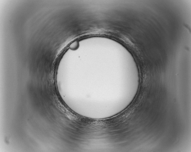 X0000101681216200807311512