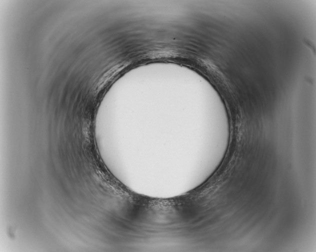 X0000101681217200807311512