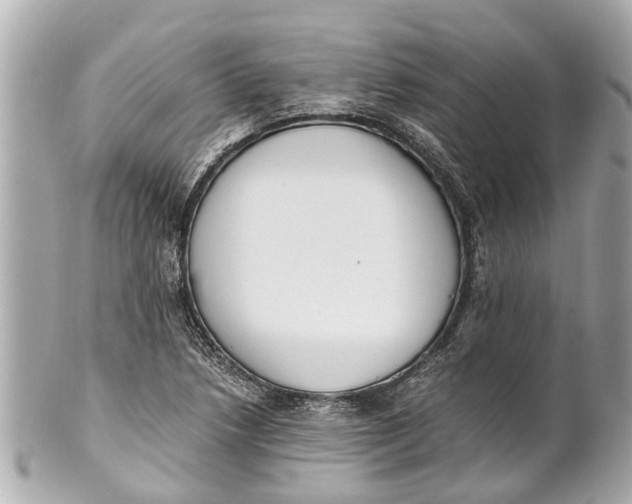 X0000101681218200807311512