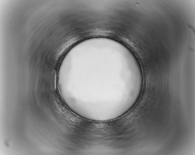 X0000101681219200807311512