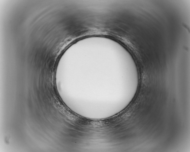 X0000101681220200807311512