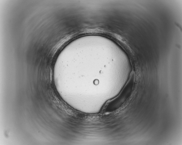 X0000101681221200807311512