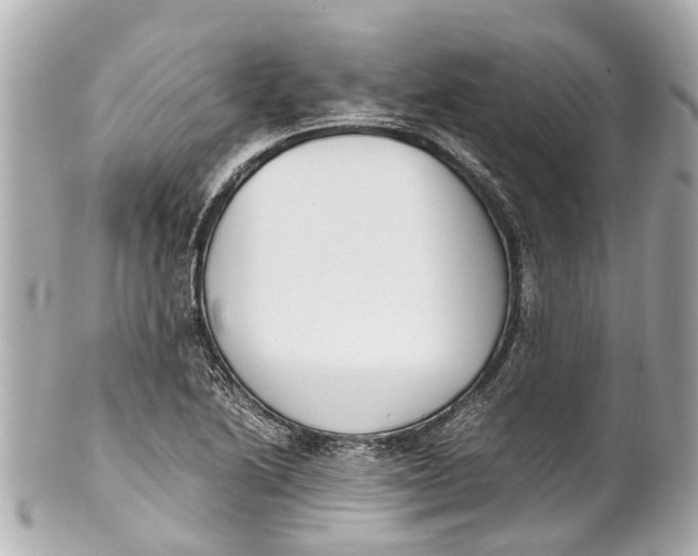 X0000101681222200807311512