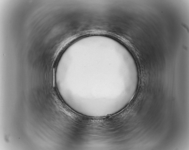 X0000101681223200807311512