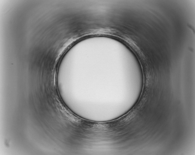 X0000101681224200807311512