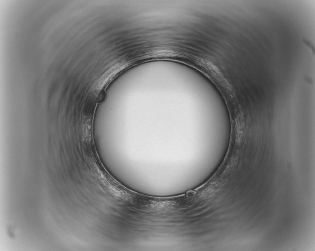 X0000101681225200807311512