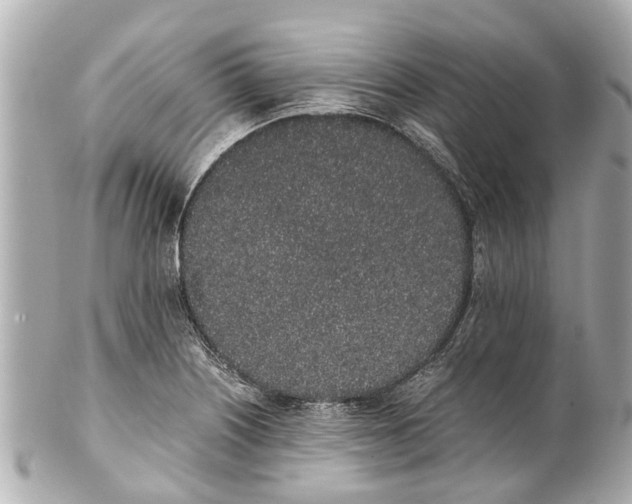 X0000101681226200807311512