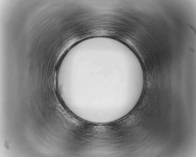 X0000101681227200807311512