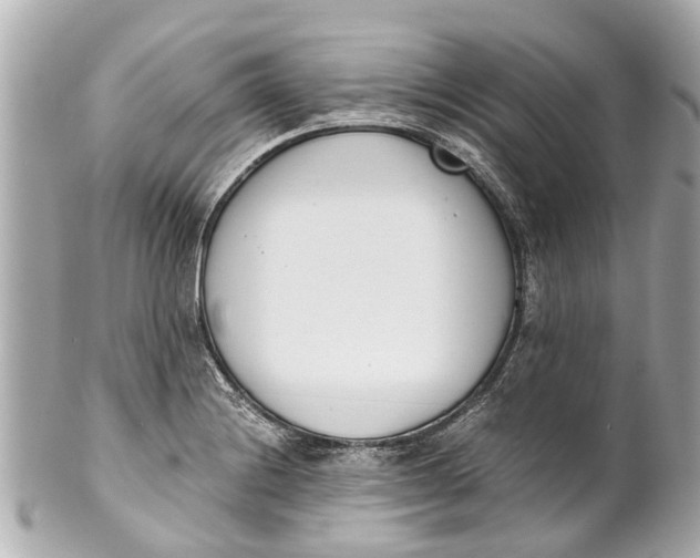 X0000101681228200807311512