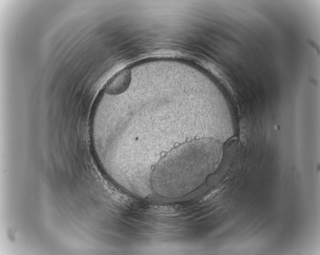 X0000101681229200807311512